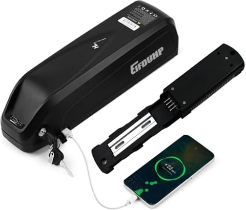 Batteria per Bicicletta Elettrica, Batteria Ebike 36V 48V / 22.5Ah-10Ah per 1500W-50W Motore Bici, con Base 4Pin/5Pin, Caricabatterie e Blocco Sicurezza (48V 13AH(50-1000W) 4 Pin)