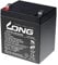 LONG PBLO-12V005-F2AH - Batteria al piombo ad alta velocità 12V 5Ah (WP5-12SHR F2)