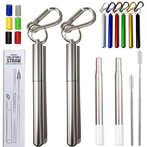 Hoshen Lot de 2 pailles télescopiques réutilisables en métal portables avec brosses et embouts en silicone avec étui Argenté