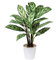 Briful Künstliche Calathea Majestica Exotica Kunstpflanze im weißen Topf, für Zuhause oder Büro, 63 cm