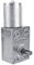 Motoriduttore DC 12V Motoriduttore Riduttore a vite senza fine reversibile ad alta coppia Turbo 2RPM