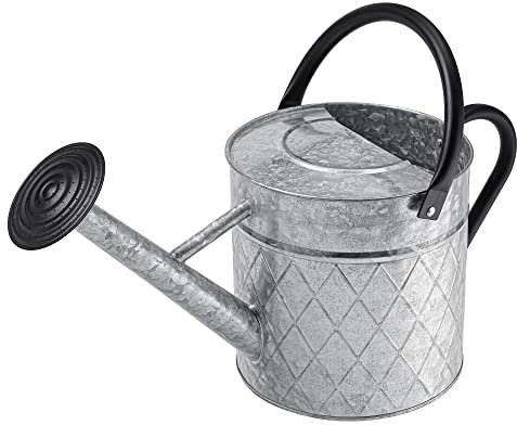 BLstyle Regadera de metal para plantas al aire libre, 1.75 galones (6.6 L), regadera de zinc vintage con boquilla de pulverización extraíble, ideal para uso en exteriores (plata)