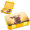 Jarlson® Brotdose Kinder mit Fächern - TONI Lunchbox - Bento Box auslaufsicher – Jausenbox für Kindergarten und Schule - Mädchen und Jungen | Vesperbox | Snackbox (SCHWEINCHEN)