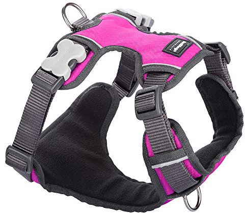 Red Dingo Hundegeschirr, gepolstert, Größe S, Hot Pink