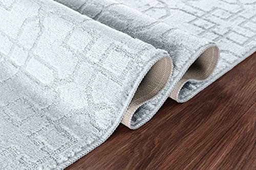 GULLAMBO Door Mat - Non Slip Door Mats Indoor Washable For Tiles Lino lamination Wood Flooring - Washable Front Door Mat Inside, Super Absorbent - Kitchen Door Mats Rugs (Silver Siam, 80cm x 150cm)