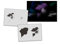 UMR-Design AS-324 Frau Kopfhrer Step by Step Airbrushschablone Größe M