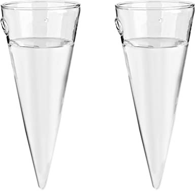 YARNOW Wall Hanging Glass 2pcs glass Vase Clear Circular Cone Glass Wall Hanging for Plant Flower Decor Vase Bottle