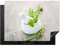 KitchenYeah© Herdabdeckplatte Einteilig Abdeckplatten Cerankochfeld Abdeckung Ceranfeld Herdplattenabdeckung Induktionsmatte Kräuter - Grün - Weiß - Gefäß - 70x52 cm