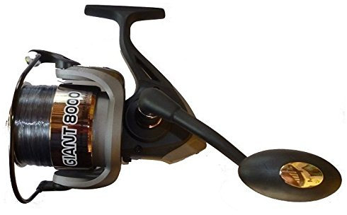 Mulinello da Pesca Giant 8000 con Filo Pesca siluro surfcasting Mare