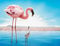 YDPTYANG Puzzle 1000 Teile - Großer Flamingo Und Kleiner Flamingo Hölzernes Erwachsene Kinder Puzzle Spiels Spielzeug Puzzles