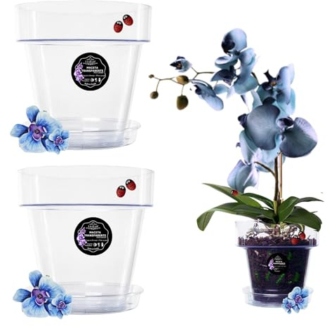 LiveLaif - 2 Maceta orquidea Transparente Redonda Ø12 cm + Plato | Maceta Transparente orquidea | Agujeros Drenaje, Efecto Vidrio | Maceta para orquídeas | Hecha en España-Modelos a Elegir