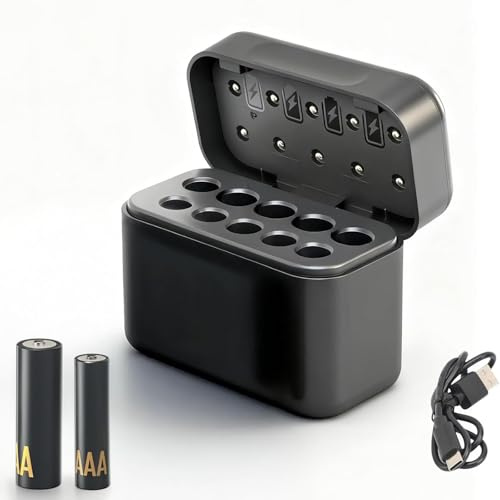 Cargador de iones de litio de 10 vías para pilas AA/AAA (1,5 V), detección automática y activación de 0 V, estaciones de carga independientes (350 mAh/200 mAh), conector compacto y tipo C (negro)