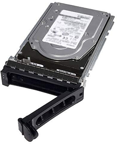 DELL 400-AUPW Disque Dur 3.5 1000 Go Série ATA III
