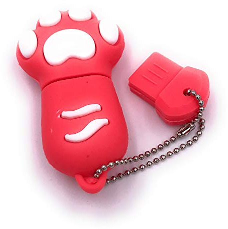 H-Customs Clé USB Patte de Chat Rose USB 16 Go USB 2.0
