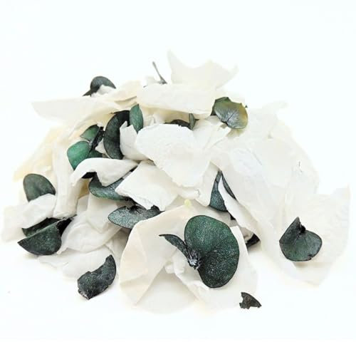 1 Litre Vrai Pétale de Roses blanche éternelle et Feuilles d'Eucalyptus stabilisé - Confettis de Mariage Blanc et vert Biodégradable - Décoration centre de table Bohème - France (Blanc et Vert)