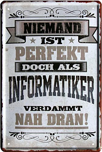 WOGEKA ART Retro Blechschild - Niemand ist perfekt, doch als Informatiker - witziger Spruch als Geschenk-Idee Geburtstag Weihnachten Dekoration 20x30 cm Vintage-Design Metall 2229