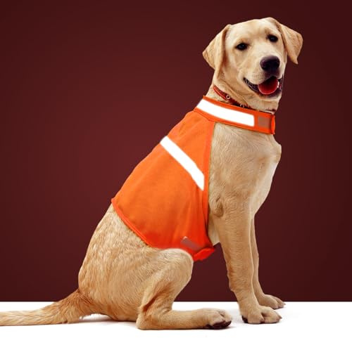Dog Jacket High Visibility Safety Reflective Dog Vest for Small Medium Large Dogs (Large, Orange)