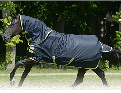 Oasis Turnout 100+Neck Set, 155, Dark Grey/Lime
