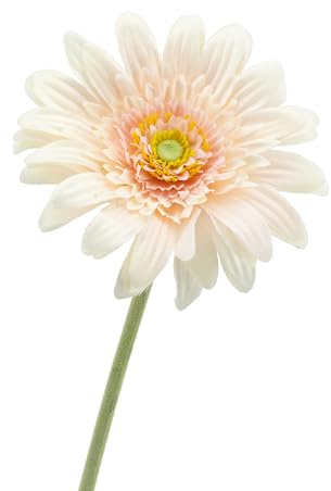 Täuschend echte künstliche Gerbera – Realistische Blüte aus Textilfaser, pflegeleicht & langlebig - Perfekt für Vasen oder Deko - 53 cm (4, Creme)