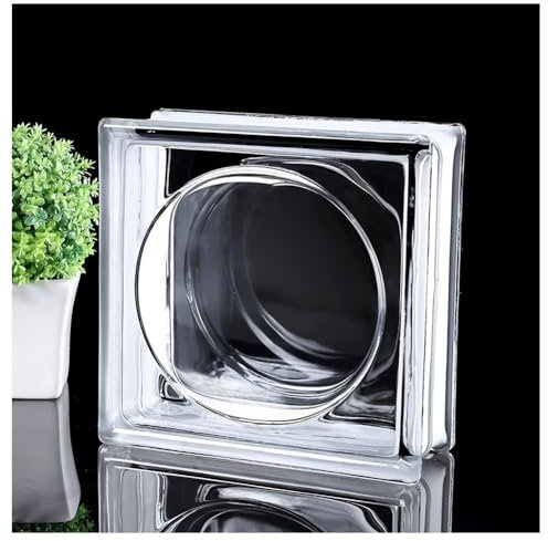 Zfmnoyev Brique De Verre Creuse Carrée À Motif De Cristaux De Glace, Haute Transparence, Isolante Phonique Et Thermique, pour Fenêtres, Douches, Salles De Bains, Couloirs Et Bureaux.(Clear-C)