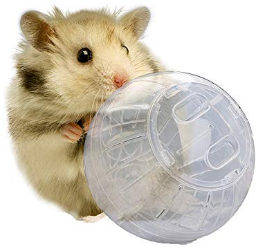 Fliyeong Premium Quality Pet Play Exercise Rodent Jogging Mice Hamster Gerbil Rat Small Ball Plastic Toy