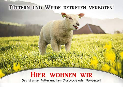 Tierisch werben Weidezaunschild Füttern und Weide betreten verboten Schaf DIN A4 Warnschild (Hartschaum)
