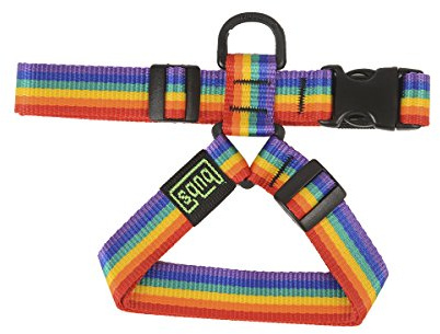 bub's Benzinbehälter für mittelgroße und kleine Hunde, Größe prüfen (Medium, Regenbogen).
