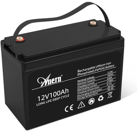 Anern lifepo4 100ah Batterie 12v 1280WH, Batterie au Phosphate au Lithium 12V, BMS intégré, Plus de 6000 Cycles, LiFePO4 Chargeur De Batterie, Système Solaire/Batterie Systèmes (Une Pile au Lithium)