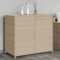 TEHTX7 Gartenschrank Geräteschuppen Werkzeugschrank Outdoor-Schrank Gartenbox Beige 83x45x76 cm Poly Rattan