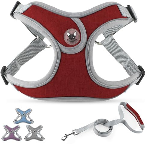 PcEoTllar Hundegeschirr Kleine Hunde und Leine Set, Reflektierend Geschirr Hund mit Weich Gepolstert, Step-in-Einstellbar Brustgeschirr für Kleine Mittelgroße Hunde, Rot-M