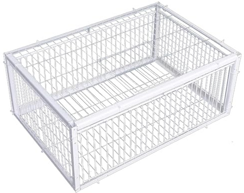 Trampa para Palomas, Trampa para pájaros con entradas de Acceso unidireccional y tragaluz, Jaula de Metal para Palomas de 16 x 12 x 10 Pulgadas para Granjas, graneros, Jardines, Aves repro