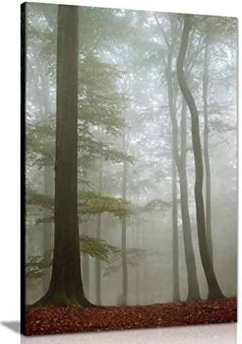 Panther Print Fine Art Prints Misty Forest Tall Trees Artistic Framed Canvas Print, Pictures for Home Walls, Bedroom, Living Room & Bathroom Decor 61x41cm (24x16in)