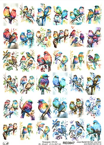 Josys Bastelmärchen Reispapier A4 Strohseide Decoupage Bunte Vögel auf AST Baum Vogel RE0847