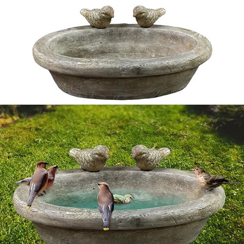 Bain d'oiseaux avec deux oiseaux | Ciment 27 x 20 cm | Bassin d'eau pour oiseaux Décoration de jardin
