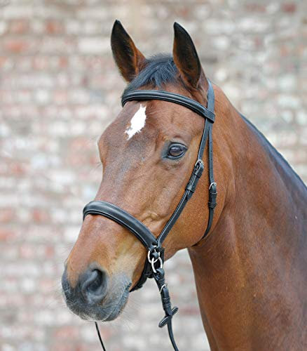 Equipride Leder-Zaumzeug, gebisslos, Scrawbig Stil mit weichen Zügeln, Full – COB – Pony (Cob)