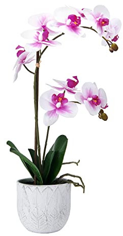 Mikasa Künstliche Orchidee im Topf, fühlt Sich echt an, Phalaenopsis-Orchidee, künstliche Blumendekoration für Hochzeit, Zuhause, Büro, Party, Hotel, Salon, 55,9 cm, Weiß/Fuchsia