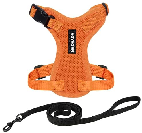 Voyager Step-in Lock Katzengeschirr und reflektierende Katzenleine mit Neoprengriff by Best Pet Supplies - Unterstützt kleine, mittelgroße und große Katzenrassen, Orange, size XS - 1,5 m