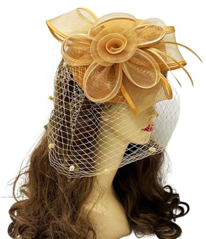 PLCPDM Fascinator für Damen, Hut, Haarspange für Pferderennen, Rollenspiele, 20er-Jahre-Party, Hochzeit, Netzhut
