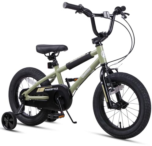 AVASTA Gemini 12 14 16 18 Zoll Kinderfahrrad BMX Style Fahrrad mit Stabilisatoren für 2-10 Jahre alte Kleinkinder Jungen Mädchen, Mehrere Farben