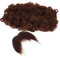 Toyvian 1satz Cosplay Afro Perücke Und Schnurrbart Braunes Piraten-kostüm-accessoire Für Halloween Und Mottopartys Für Und Styling Für Kreative Charakterdarstellung