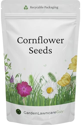 Cornflower Seeds - UK Native Wildflower Ideal for Meadows, Cottage Gardens, Borders & Pollinators - Centaurea Cyanus - 20g Resealable Pack