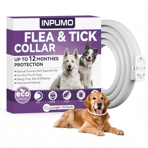 Collar Antiparasitario para Perros, Protección Natural de 12 Meses, Collar Antipulgas Impermeable y Ajustable para Perros Pequeños, Medianos y Grandes (1PCS)