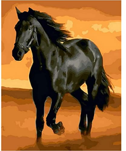YSCOLOR Kit De Peinture Par Numéros, Animal Cheval Noir Bricolage Peinture Par Numéro Pour Adultes Débutants Et cadeaux Pour 40X50cm