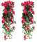 Mocrop 2 plantas artificiales artificiales colgantes de 90 cm, para bodas, hogar, jardín, paredes-rosa