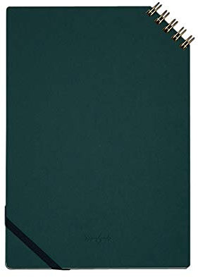 Japanisches Ringbuch, grün, liniert