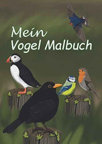Mein Vogel Malbuch: Entdecke die Vielfalt unserer Gartenvögel, Schöne Vogelmotive zum Ansehen und Ausmalen für Kinder und Erwachsene im A4 Format