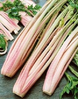 Celery Peppermint Stick 5,000 Seeds