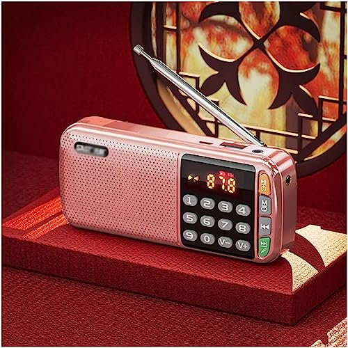 DEMCAY Digital Radio, Portable Internet Radio Petite Compact Rechargeable Battery Fm Radio, Portable Dab Radio Support Earphone U Disk Listen Songs (Color : Pink)