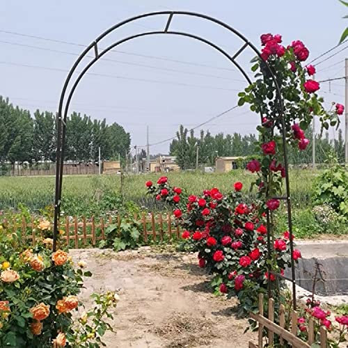 CHAOUYYZ Black Garden Rose Arch for Climbing Plants 1.4X2.3M 1.8X2.2M 2.4X2.2M Metal Pergola Arbor Durable Trellis Arches/Black,Rose/180 * 220 * 40Cm