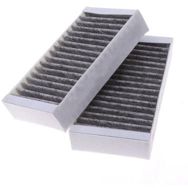 Filtro abitacolo per BMW per X3 F25 64119251118 Filtro Aria condizionata a circolazione Interna Filtro Aria condizionata Filtro abitacolo a Carboni Attivi